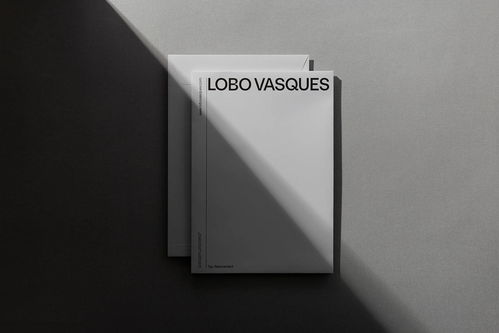 平面设计 Lobo Vasques 精品律师事务所品牌形象设计
